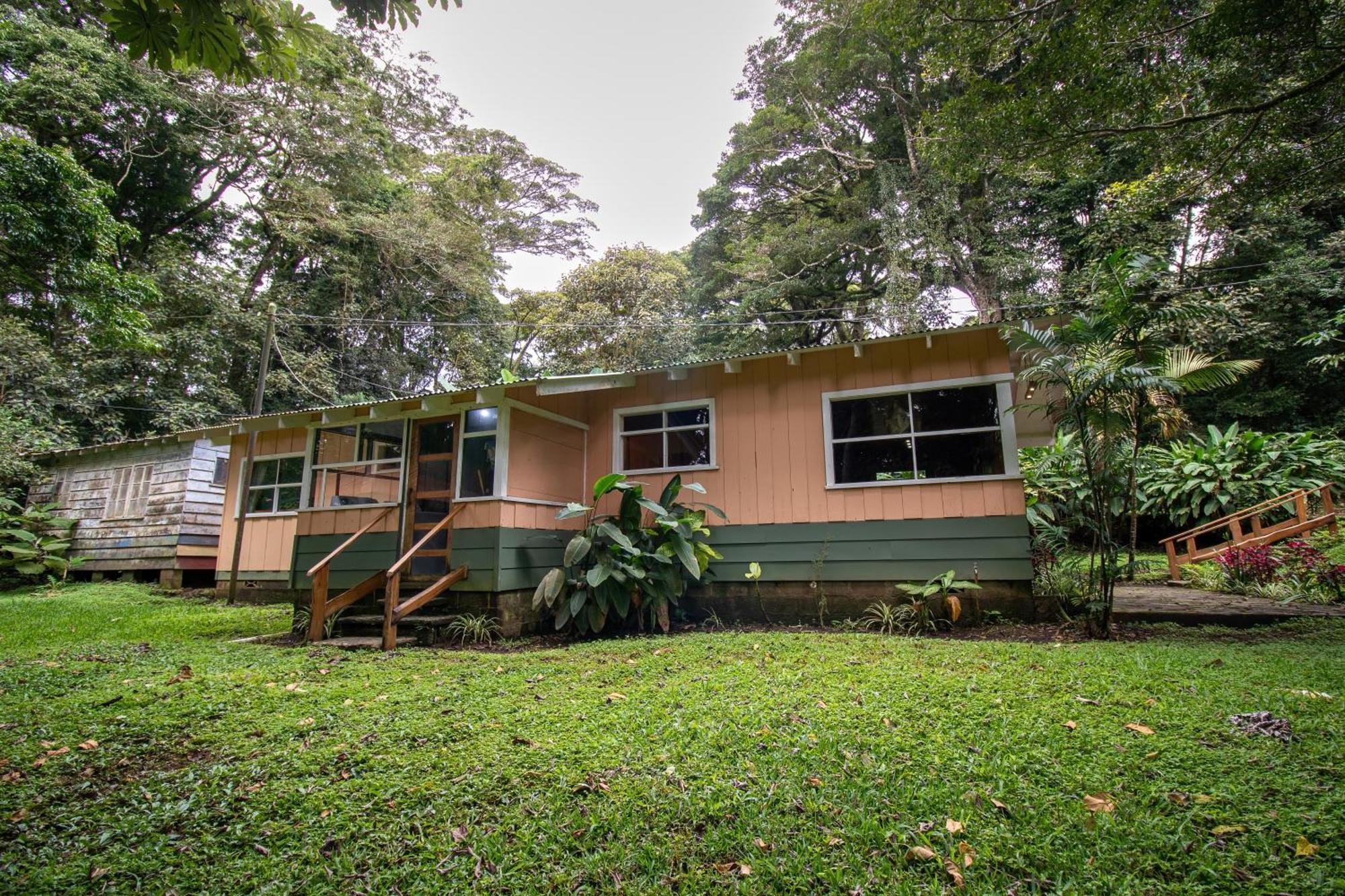 Forest Garden House Monteverde Bagian luar foto