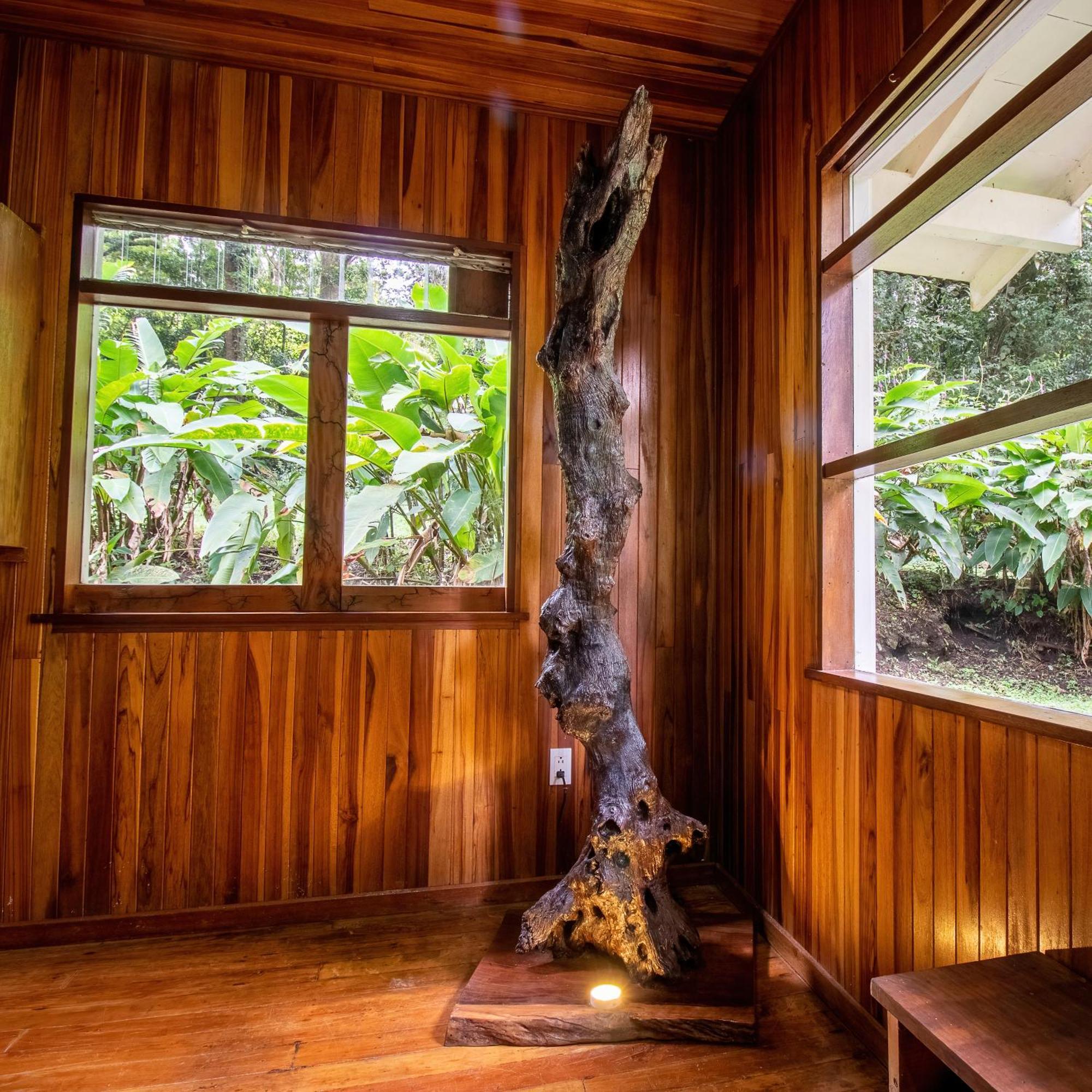 Forest Garden House Monteverde Bagian luar foto