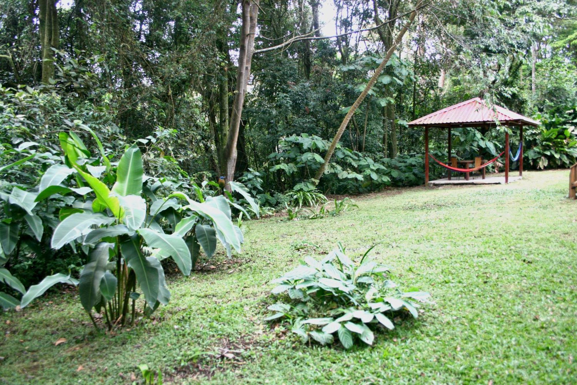 Forest Garden House Monteverde Bagian luar foto