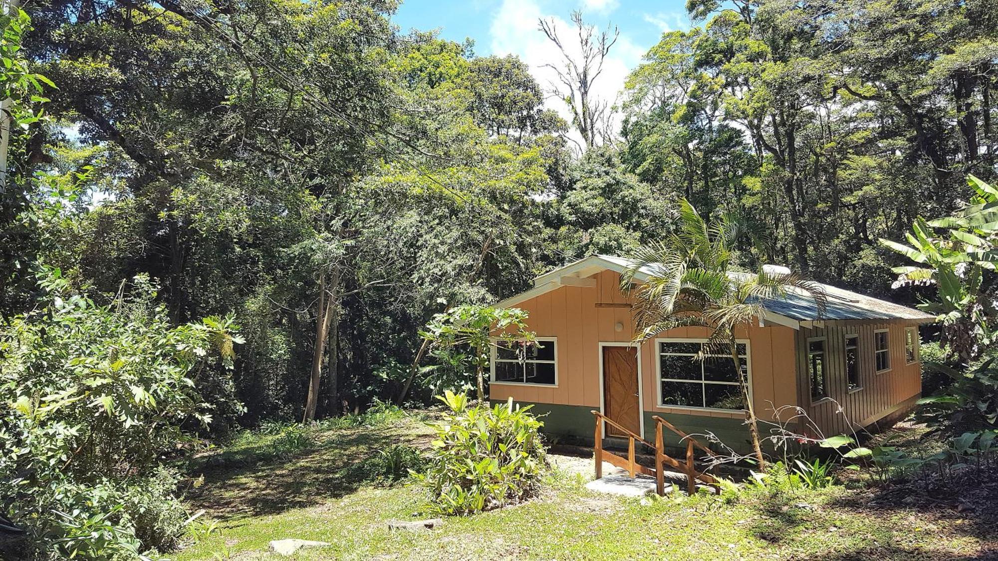 Forest Garden House Monteverde Bagian luar foto